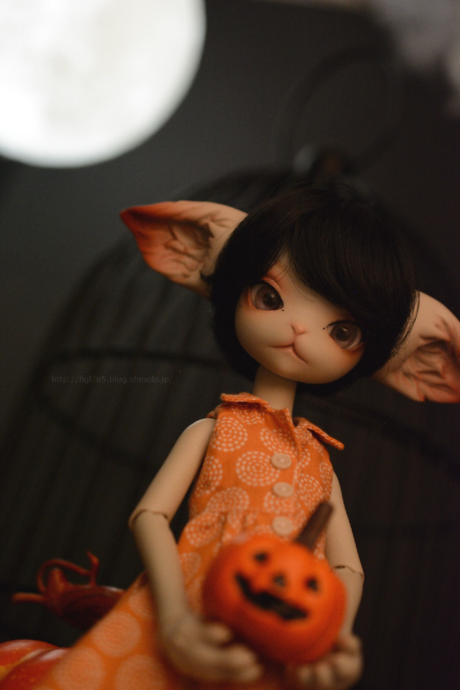 美國(ミスキティ)