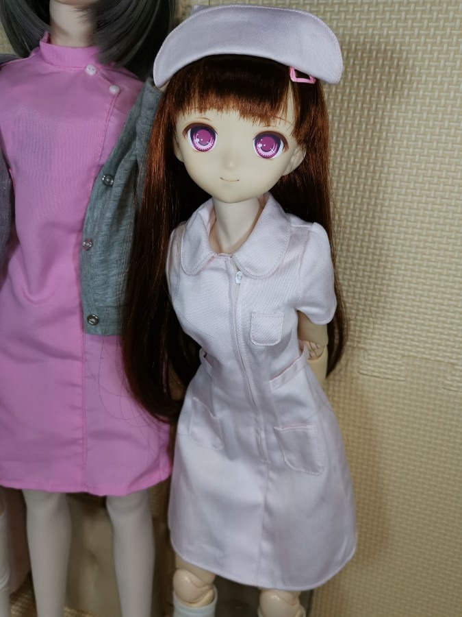 うちのこ紹介 タフィ