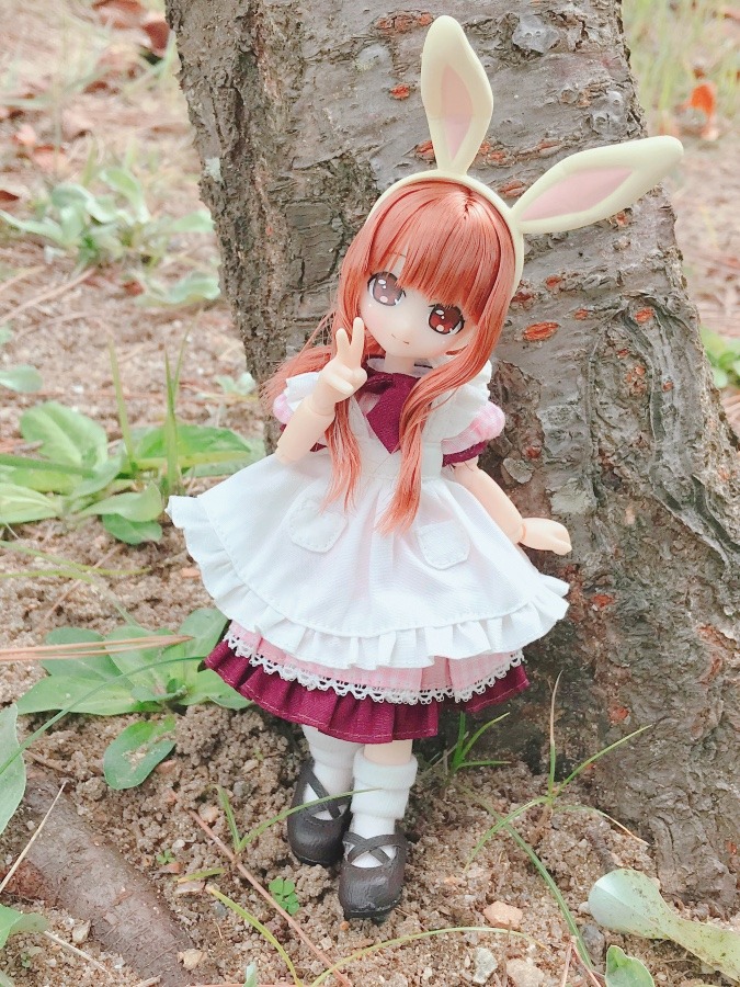 ミィルちゃん