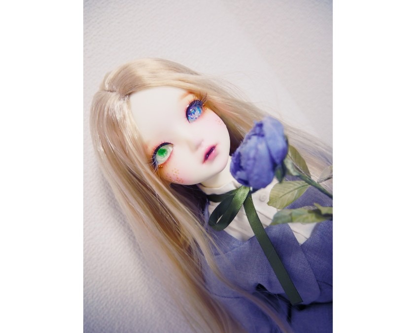 アリス ＊ bunnybunny iris