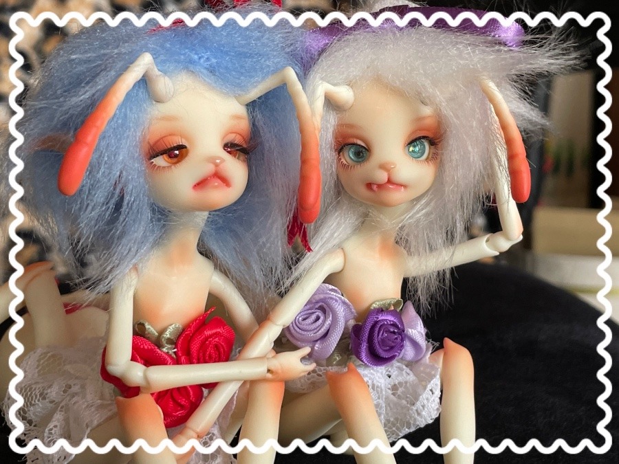 🐜♥️ロート＆🐜♠️シェバル