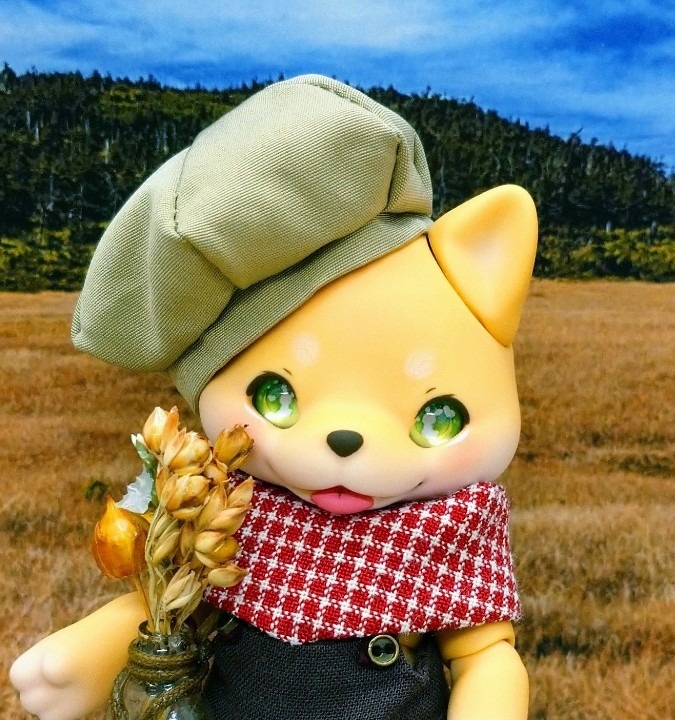 犬助(けんすけ)