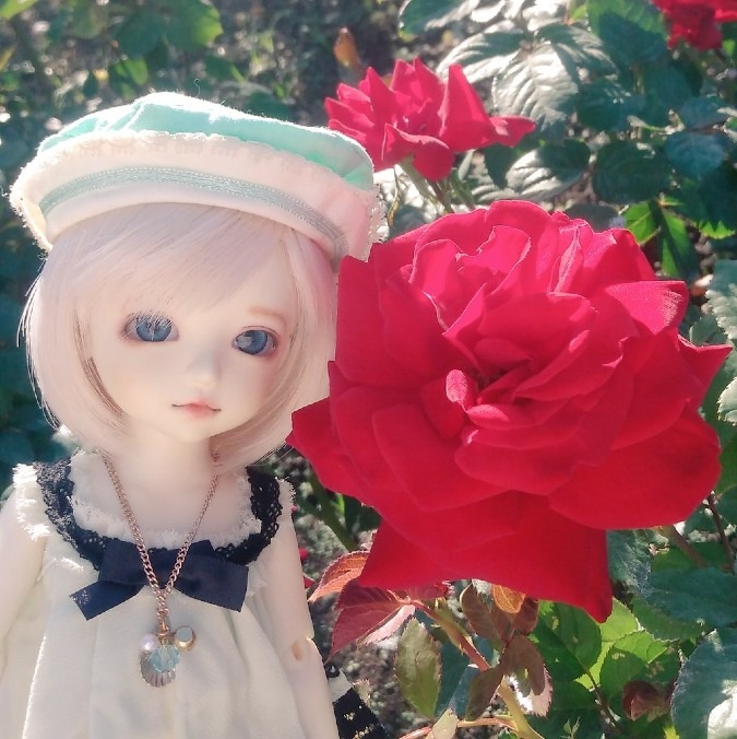薔薇と夢叶ちゃん