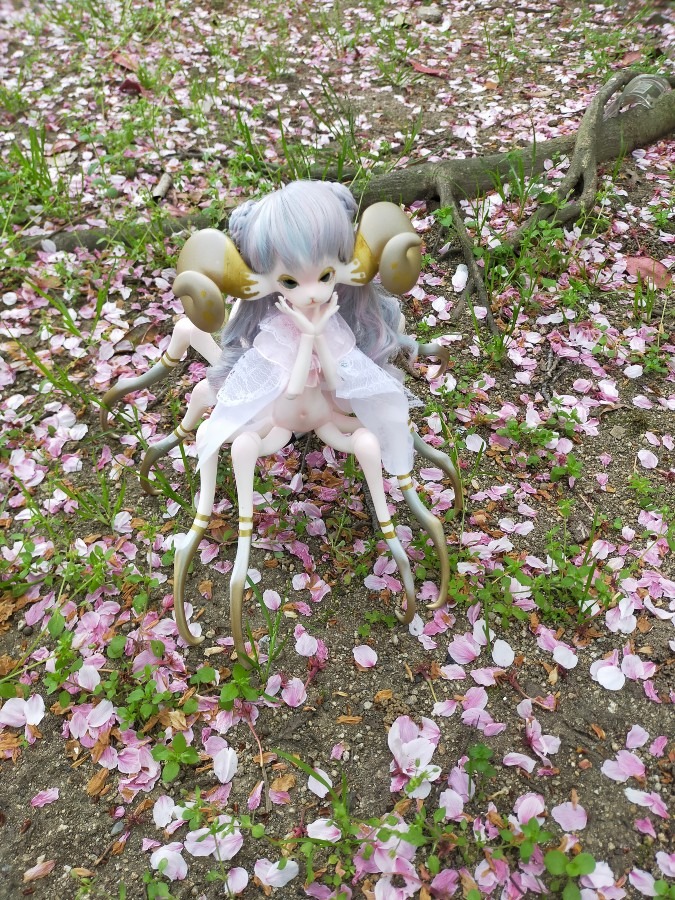 Doll Chateau Xaviera