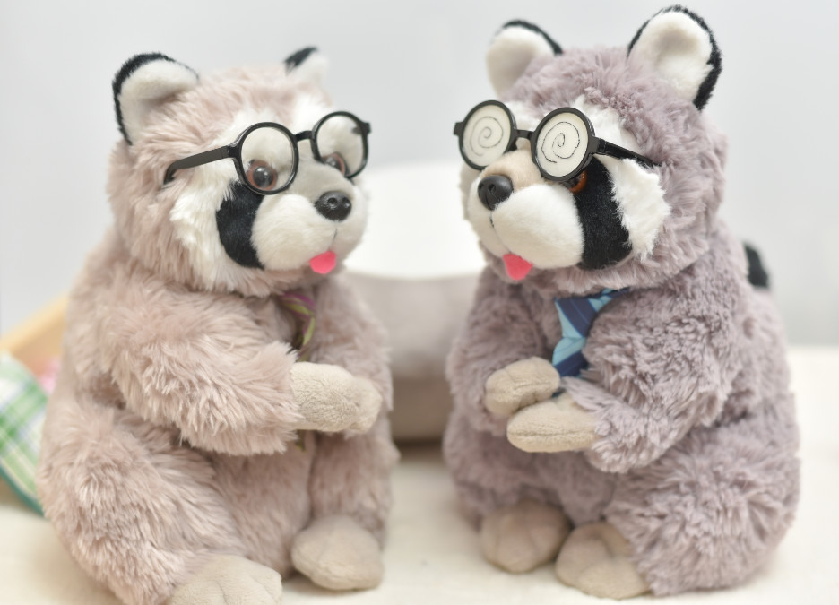 アライグマおじさんｽﾞ