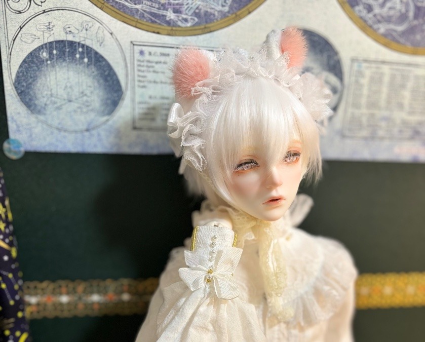 ねこねこにゃーにゃくん