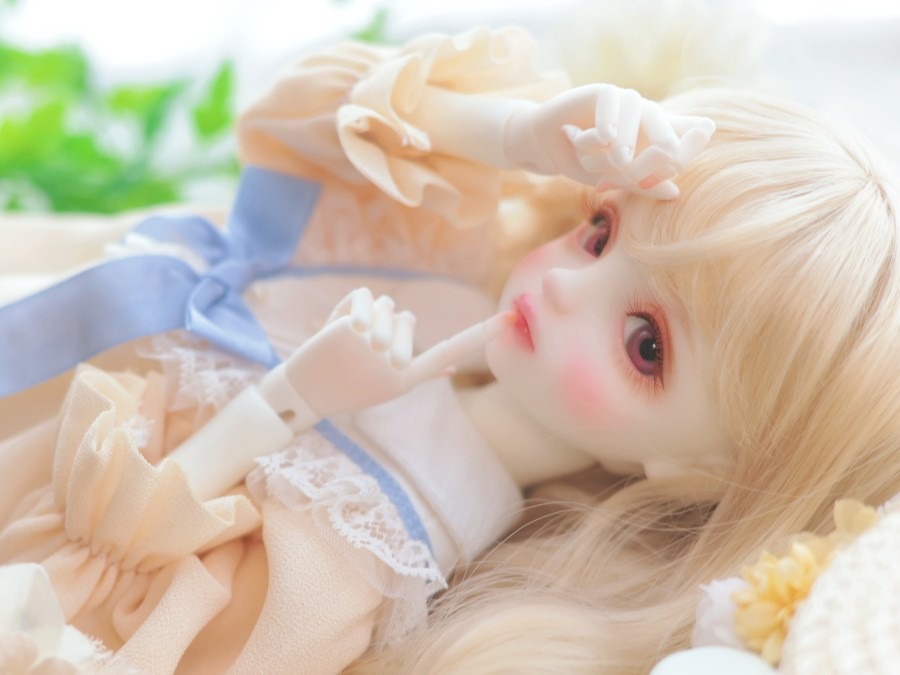 ライカ(ライカちゃん)