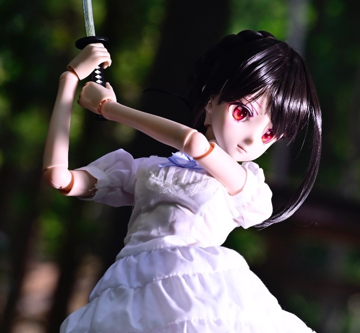 藤島瑯砂(ローザ)