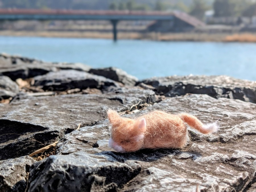 朝霧大臣🇯🇵